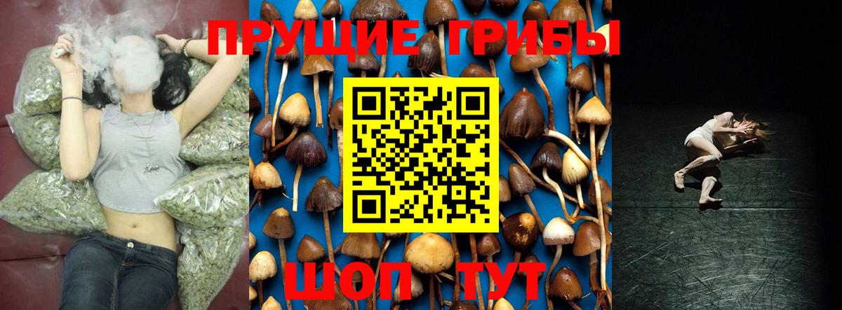 Галлюциногенные грибы ЛСД Белореченск